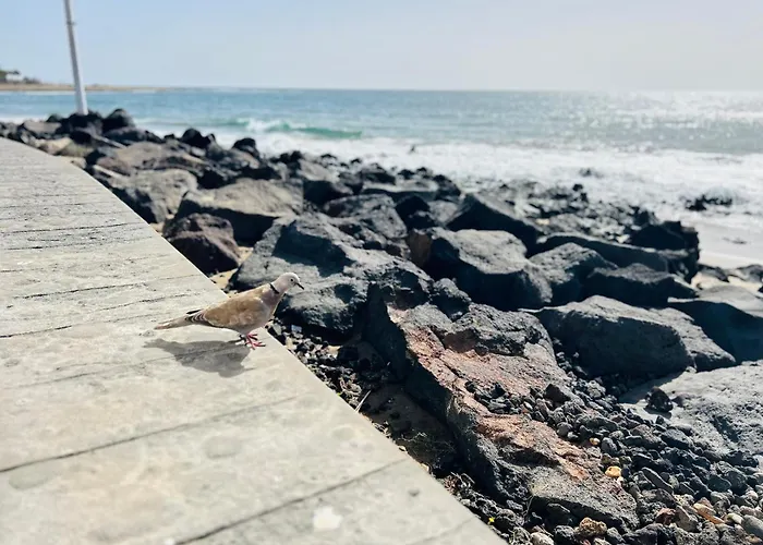 -montorian View Lanzarote- דירה *